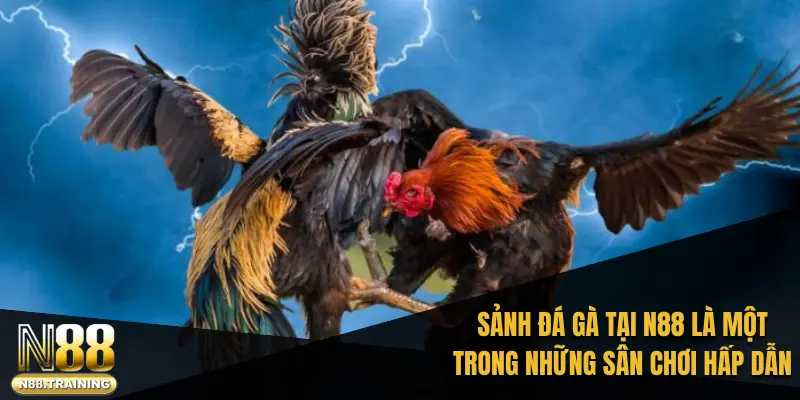 Trang chủ 40 Sảnh đá gà tại N88 là một trong những sân chơi trực tuyến hấp dẫn